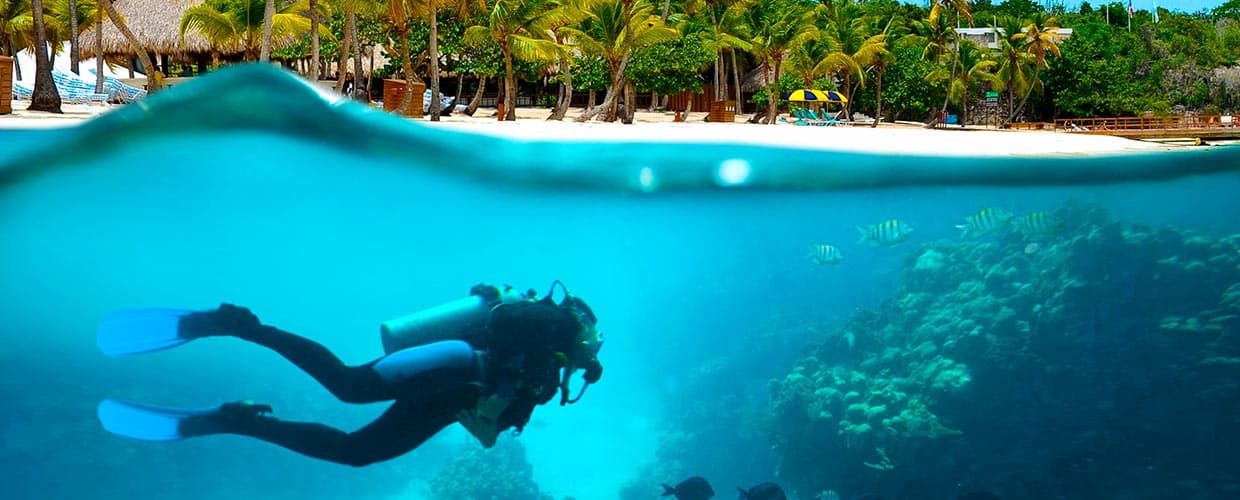 CATALINA-ISLAND-Excursion-and-tour